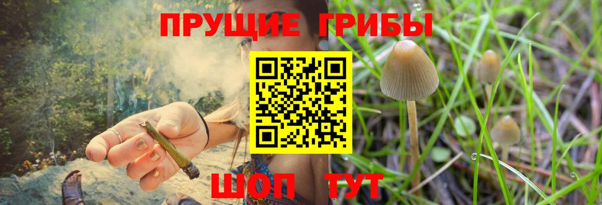 Людиново  Псилоцибиновые грибы ЛСД  Вход с VPN 
